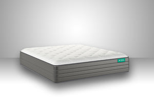 Dream Maker Brookview Mattress