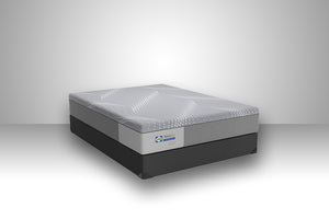Hybrid Patterson Medium TT Mattress